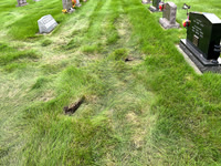 Near the Kahle grave