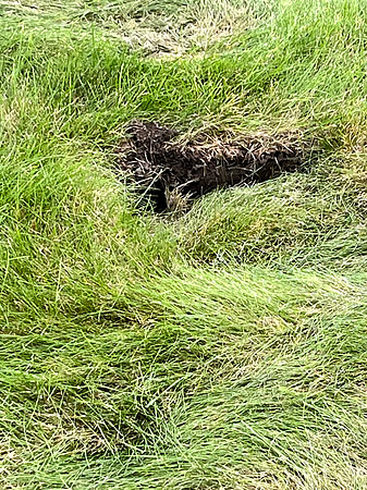 More damage near the Kahle grave