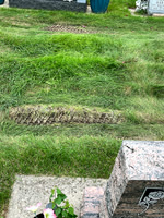 The truck squashed the front and rear of the newly planted grass.