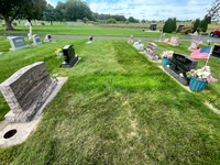 A before shot showing the maturing grass I tended for a month.