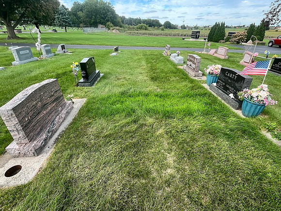 A before shot showing the maturing grass I tended for a month.