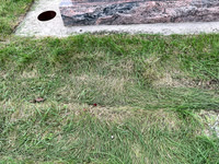 Deep indentation from tire tread. Behind my father's headstone.