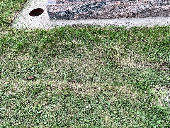 Deep indentation from tire tread. Behind my father's headstone.